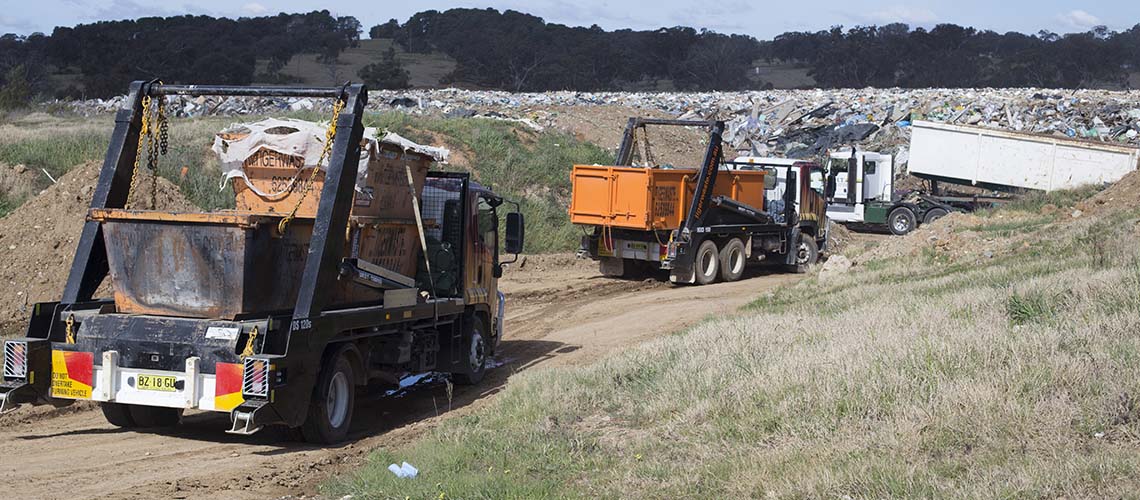 Tiger Waste Skip Bin Hire